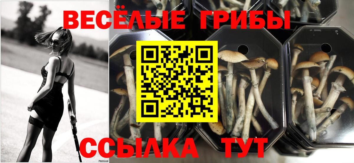 Псилоцибиновые грибы ЛСД  Псилоцибиновые грибы Psilocybe  Вход с VPN  Сланцы 