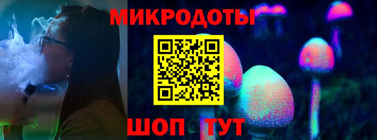 Псилоцибиновые грибы MAGIC MUSHROOMS Сланцы